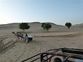 Rajasthan 2011-09-21 17-51-15 (P1040029) (Large)